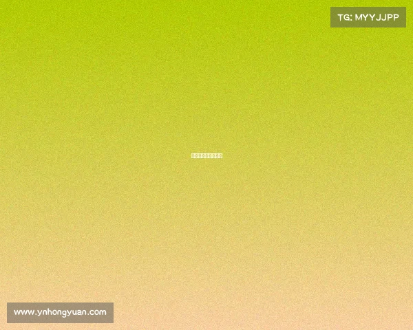 大赛团队介绍怎么写